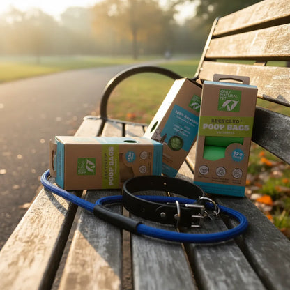 Caja de bolsas desechables para perros