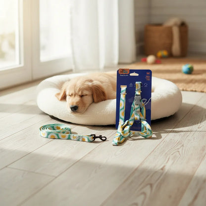 Set de trailla y arnés para perros – arnés ajustable con correa para paseo