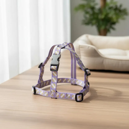 Set de trailla y arnés para perros – arnés ajustable con correa para paseo