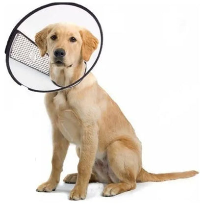 Collar Isabelino Protector para Perros y Gatos – Cono de Recuperación Ajustable
