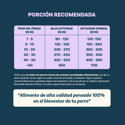 Pet Family Grain Free Vacuno 3 kg | Alimento Perros Razas Pequeñas