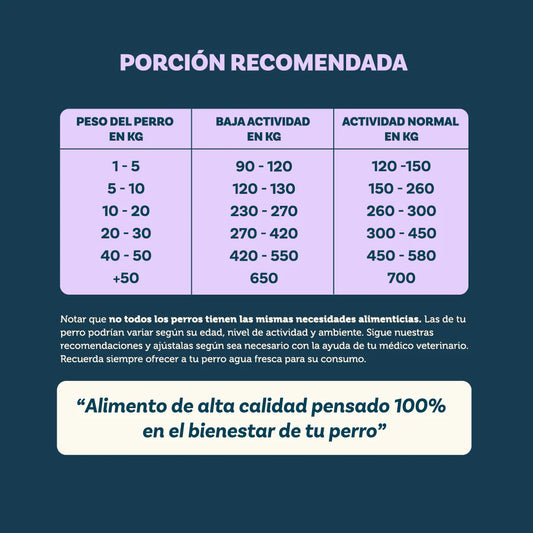 Pet Family Grain Free Vacuno 3 kg | Alimento Perros Razas Pequeñas